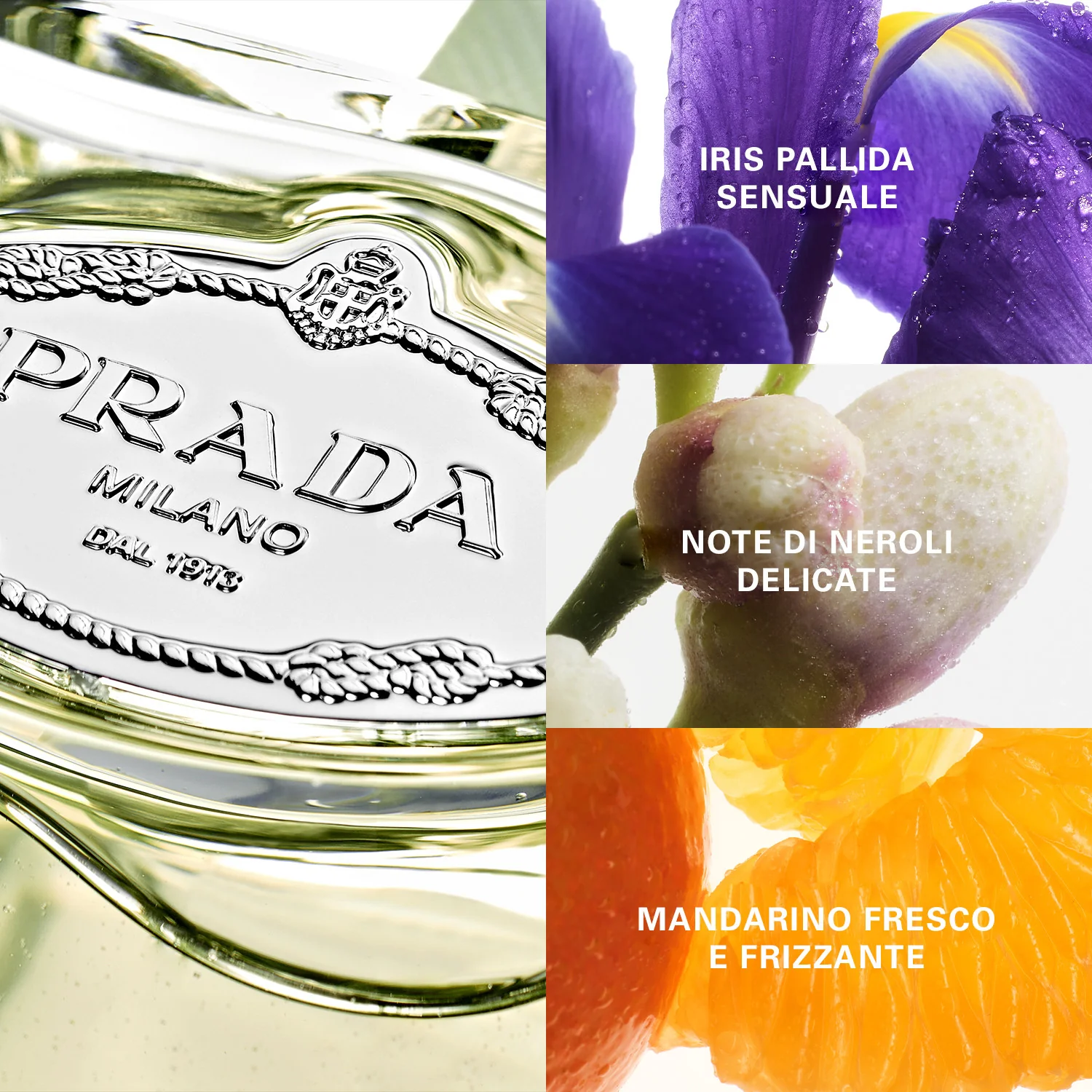 Les Infusions Infusion d'Iris - Eau de Parfum