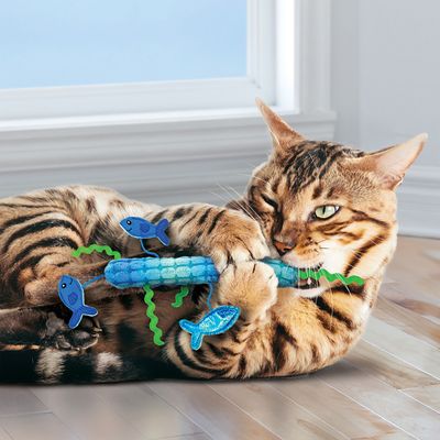 KONG Kickeroo Katzenspielzeug Stickaroo