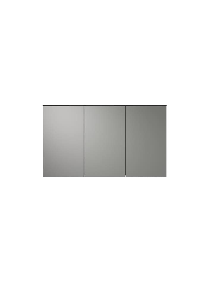 ebuy24 Spiegelschrank Synnax Grau 120 x 17 cm günstig kaufen onesize