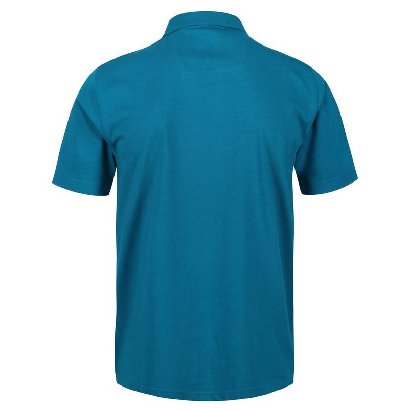 Regatta Sinton Poloshirt Herren