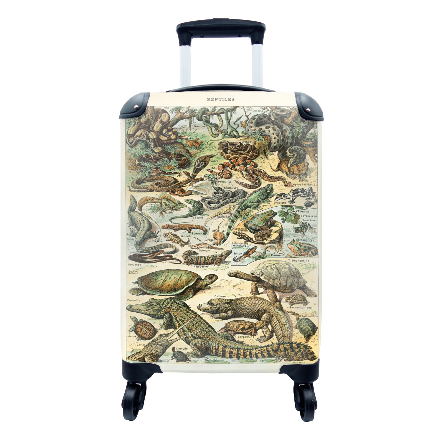 MuchoWow Handgepäckkoffer Reptilien - Tiere - Natur, 4 Rollen, Reisetasche mit rollen, Handgepäck für Ferien, Trolley, Reisekoffer