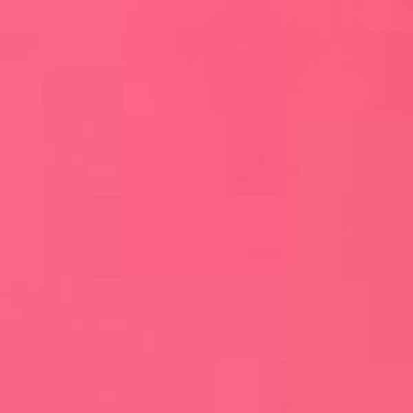 Eva Garden Nail Polish Long Lasting Nagellack