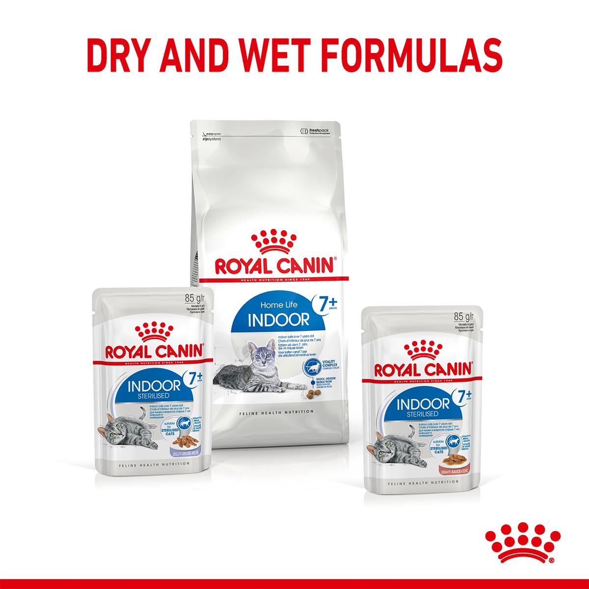 ROYAL CANIN INDOOR 7+ Sterilised in Gelee Nassfutter für Wohnungskatzen ab 7 Jahren