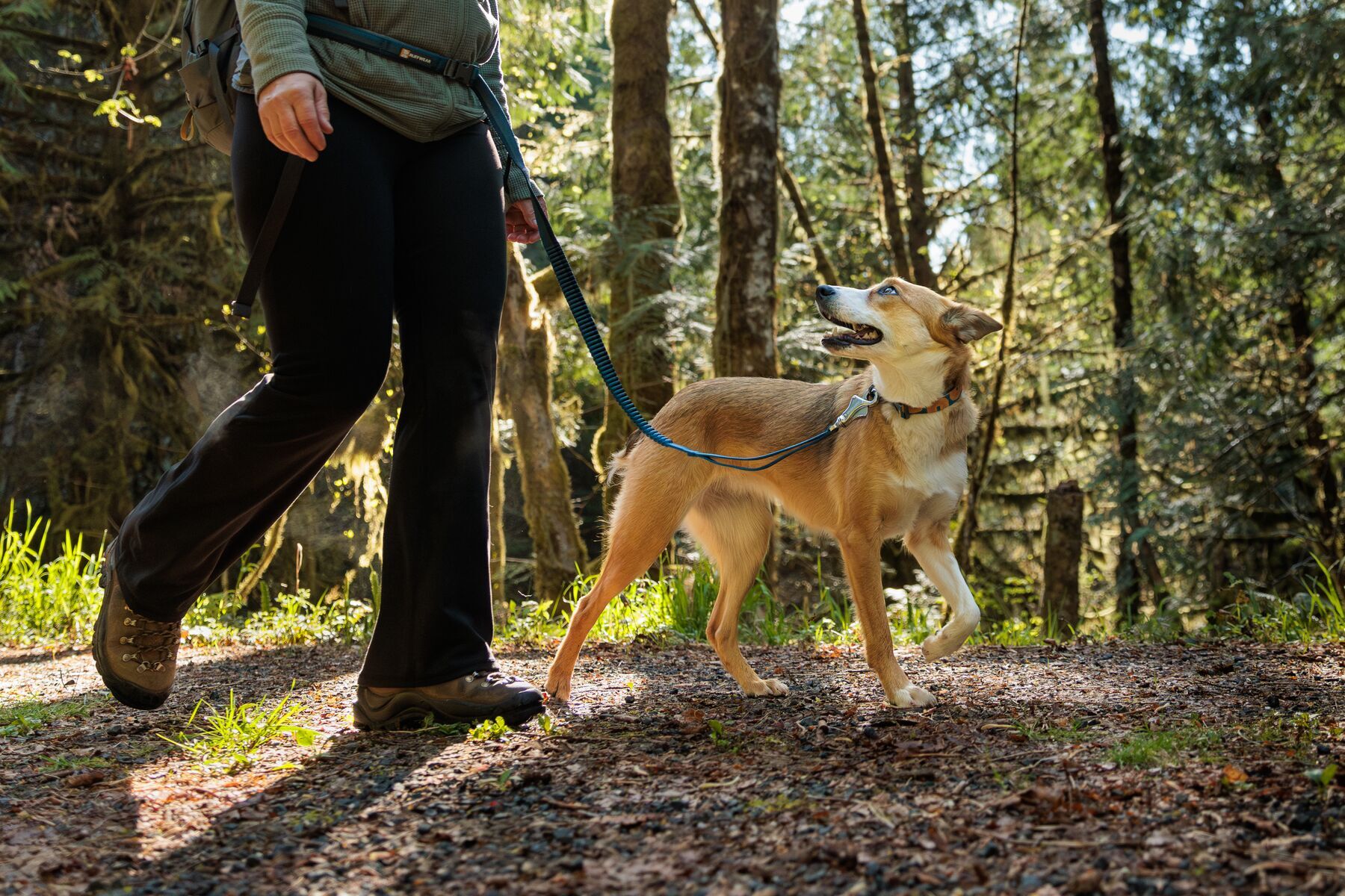 Ruffwear Hundeleinen Ruffwear Bungee Joggingleine Roamer™ blau/ blau M