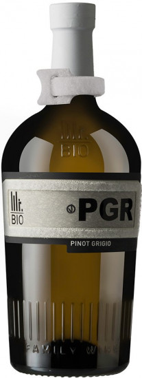 2022 Pinot Grigio Friuli DOC trocken Bio - Mister Bio Wine