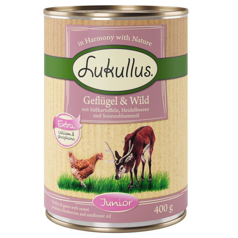 Sparpaket Lukullus Naturkost Junior 24 x 400 g
