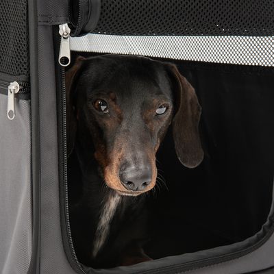 Faltbare Hundebox Fiona