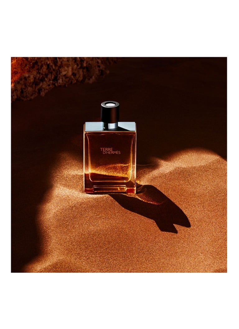 HERMÈS Terre d'Hermès Eau de toilette