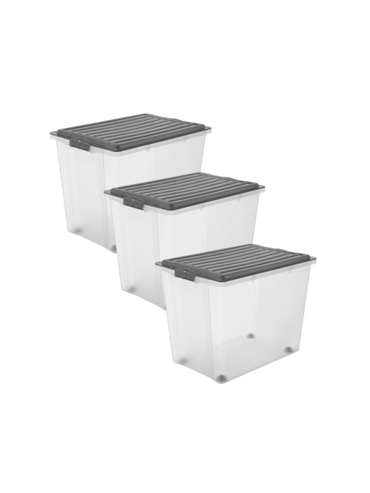 Rotho 3er Set Box 70 l COMPACT günstig kaufen onesize