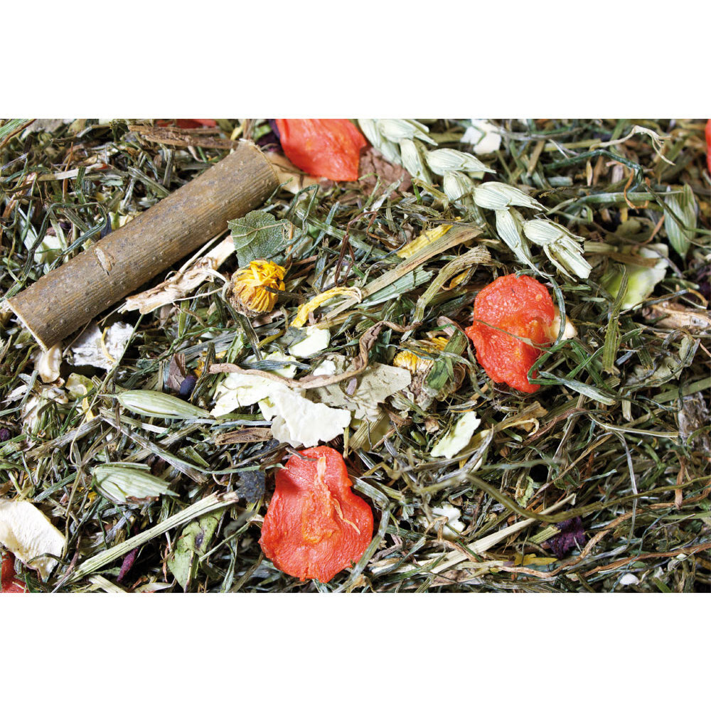JR Farm Hauptfutter JR Farm Grainless Herbs Zwergkaninchen 400g