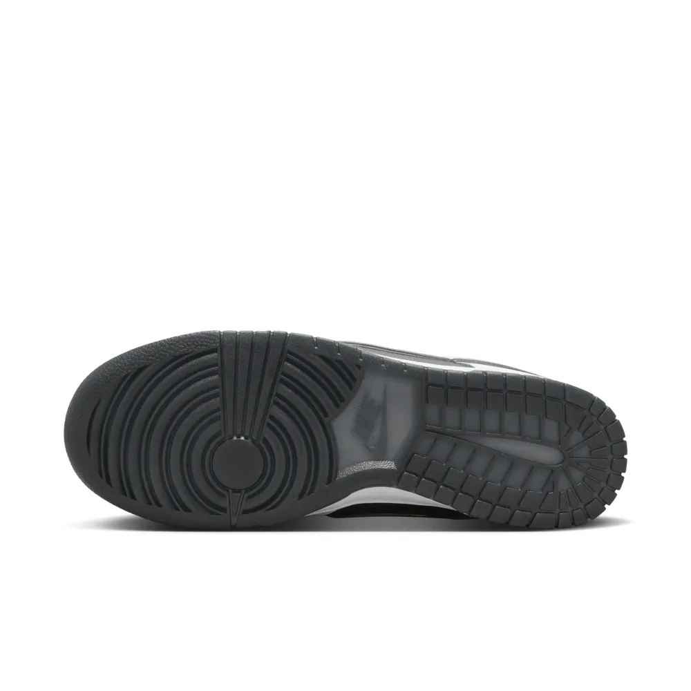 Nike Dunk Low Retro PRM FZ1670-001 / grau