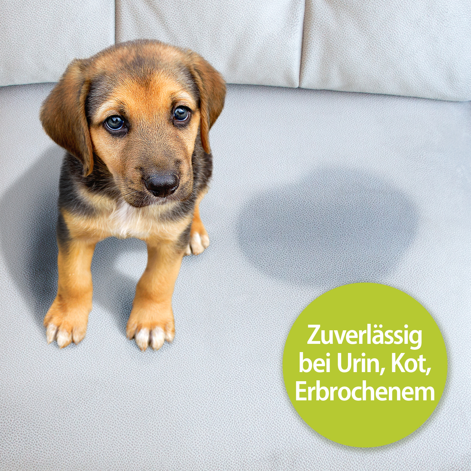 Bactador Windeln & Hygiene Bactador Geruchsentferner Konzentrat 10L