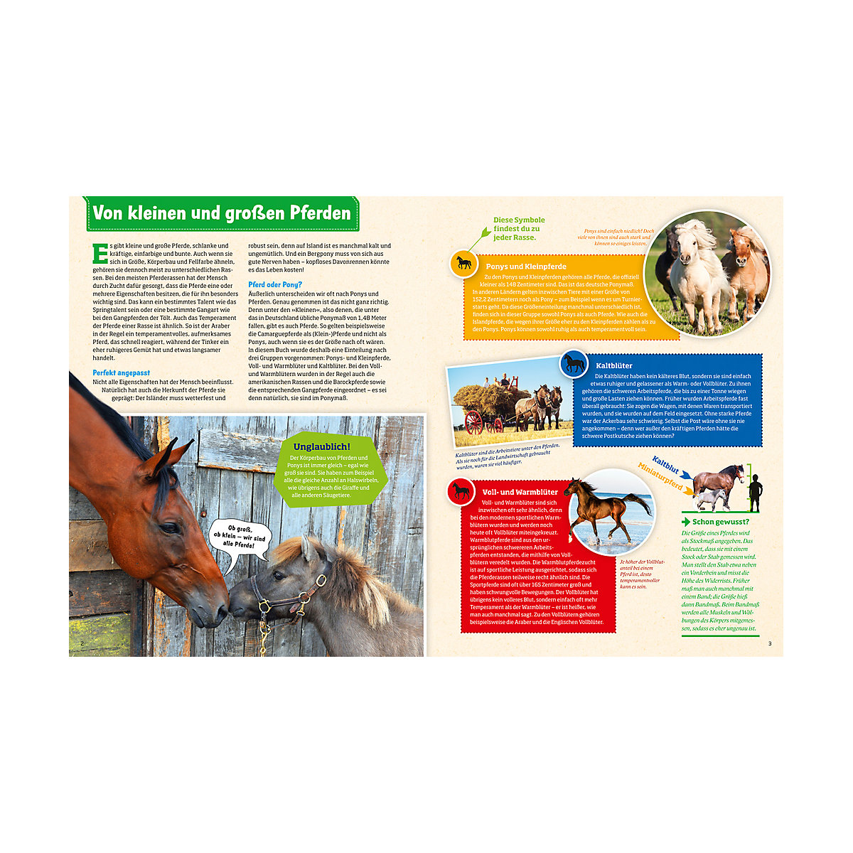 Was ist Was: Pferde und Ponys