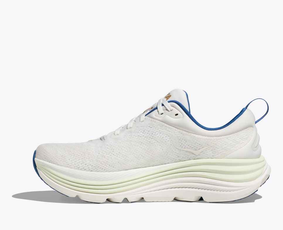 Gaviota 5 Frost / Gold