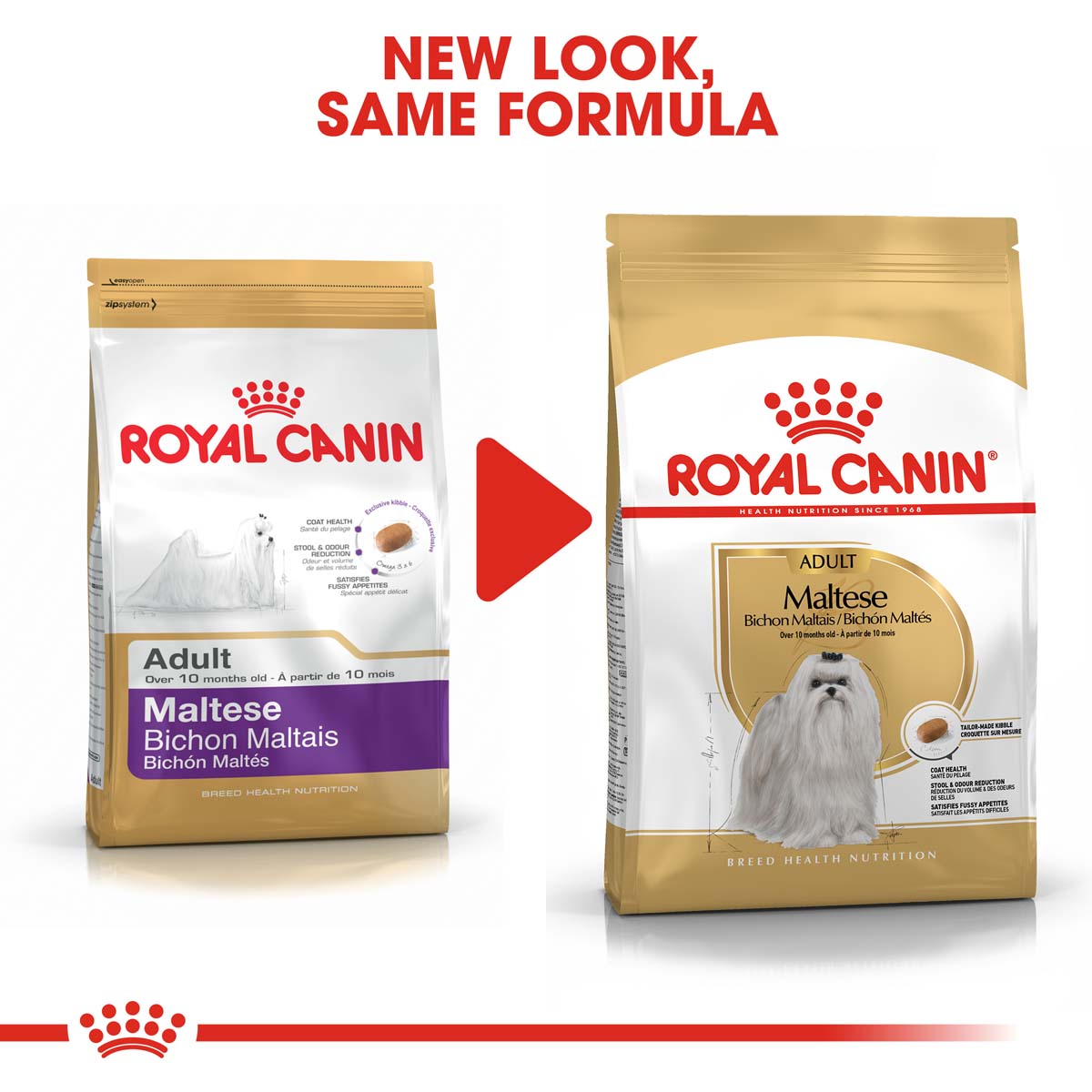 ROYAL CANIN Maltese Adult Hundefutter trocken kaufen bei ZooRoyal