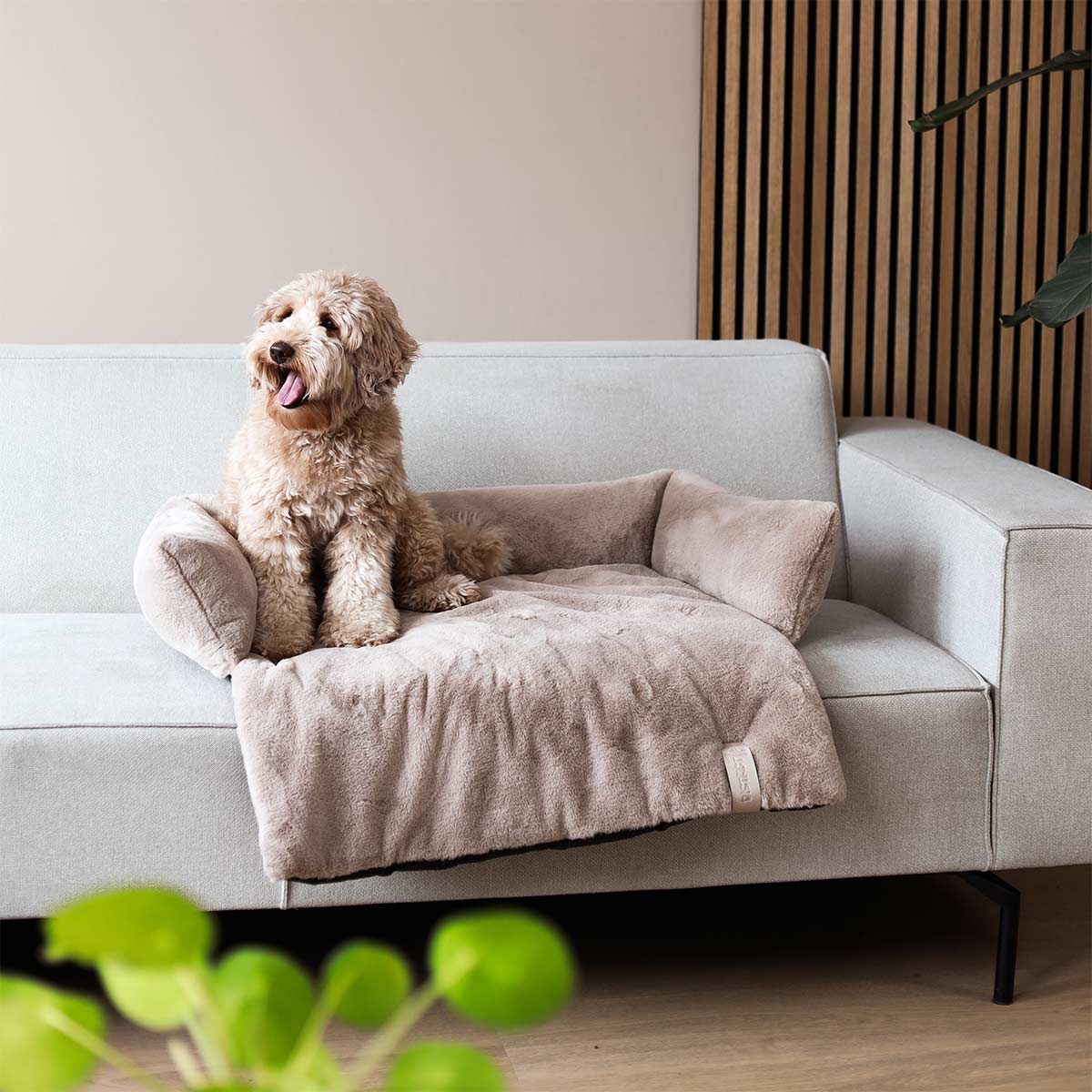 District 70 Sofa Bett NUZZLE taupe günstig kaufen bei ZooRoyal