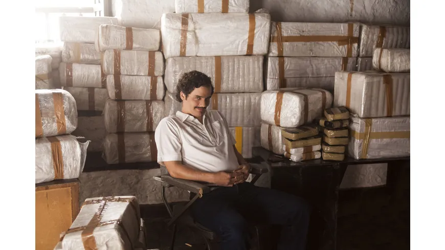 Narcos - Staffel 1  [4 DVDs]