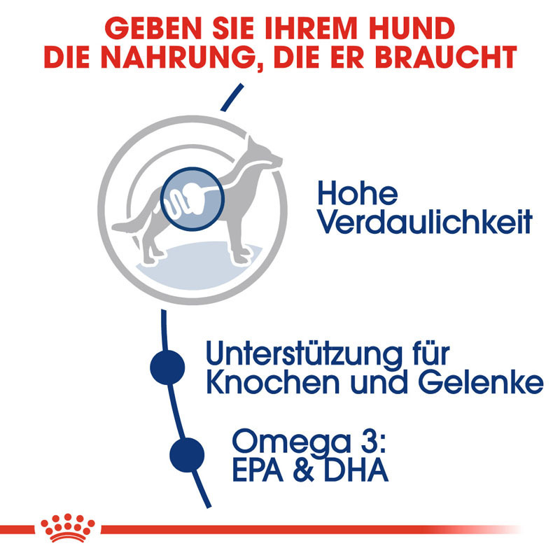 ROYAL CANIN Hundetrockenfutter ROYAL CANIN Maxi Adult 15 kg