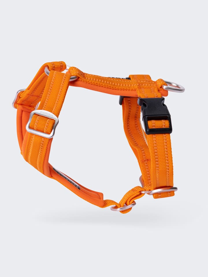 Paikka Hundegeschirr in Orange günstig kaufen