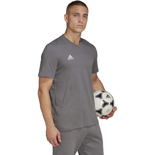 HERREN FANSHIRT ENTRADA 22 (NORMAL & LANG)
