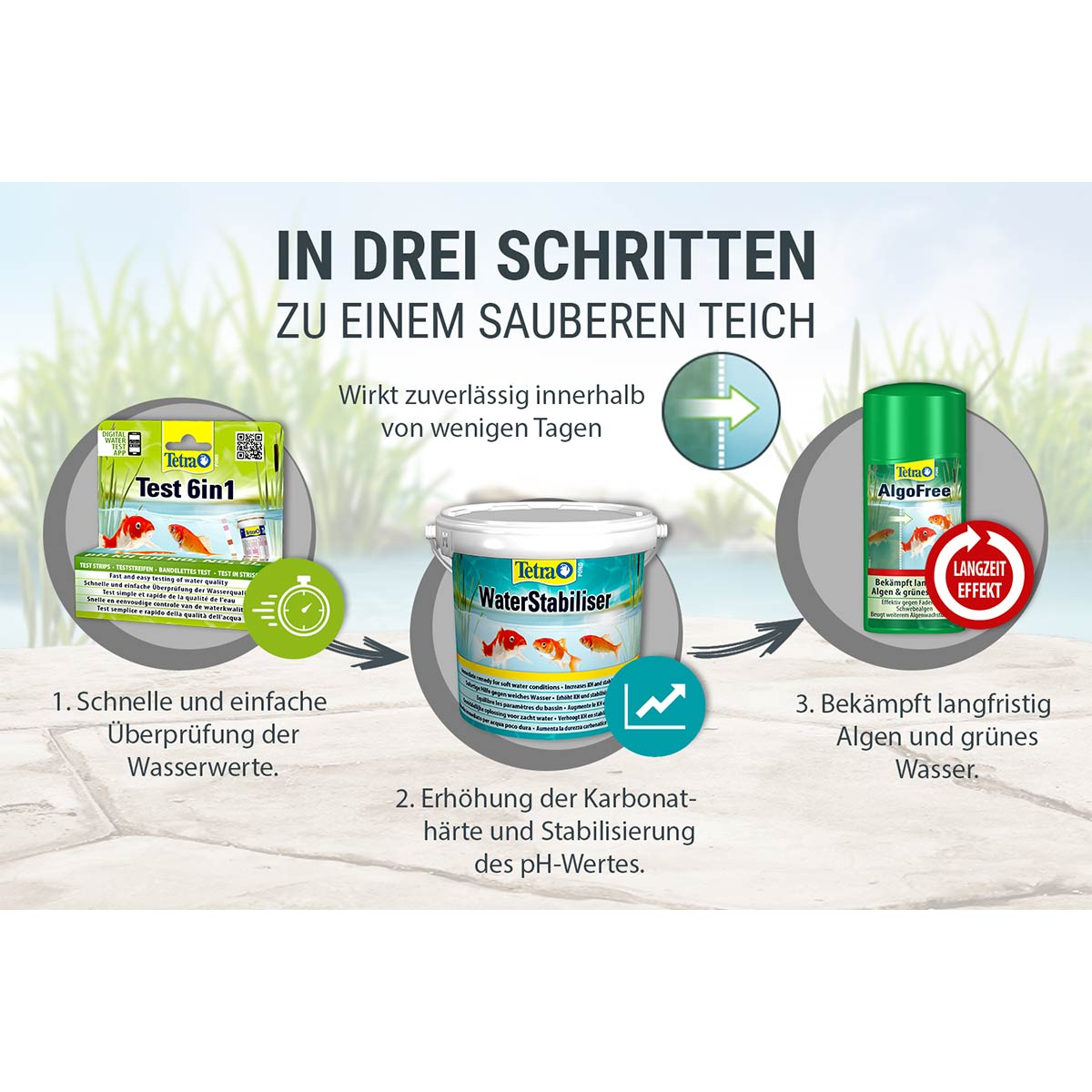 Tetra Pond AlgoFree günstig kaufen