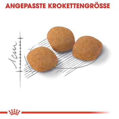 Royal Canin Protein Exigent