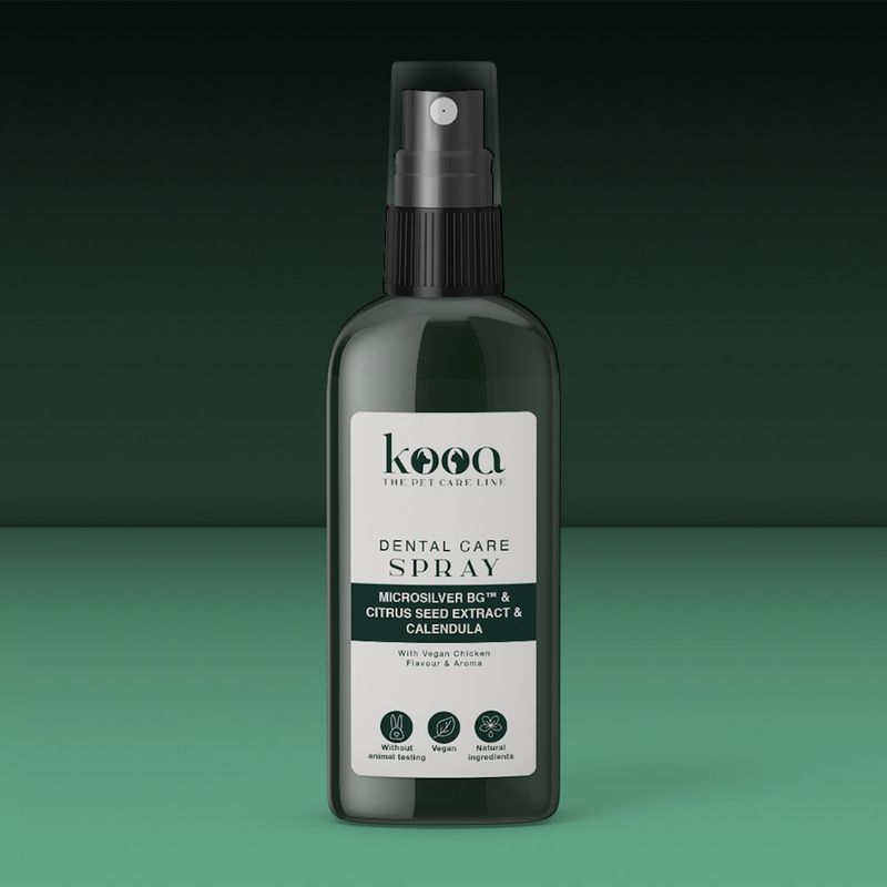 kooa Zahnpflegespray zu TOP-Preisen