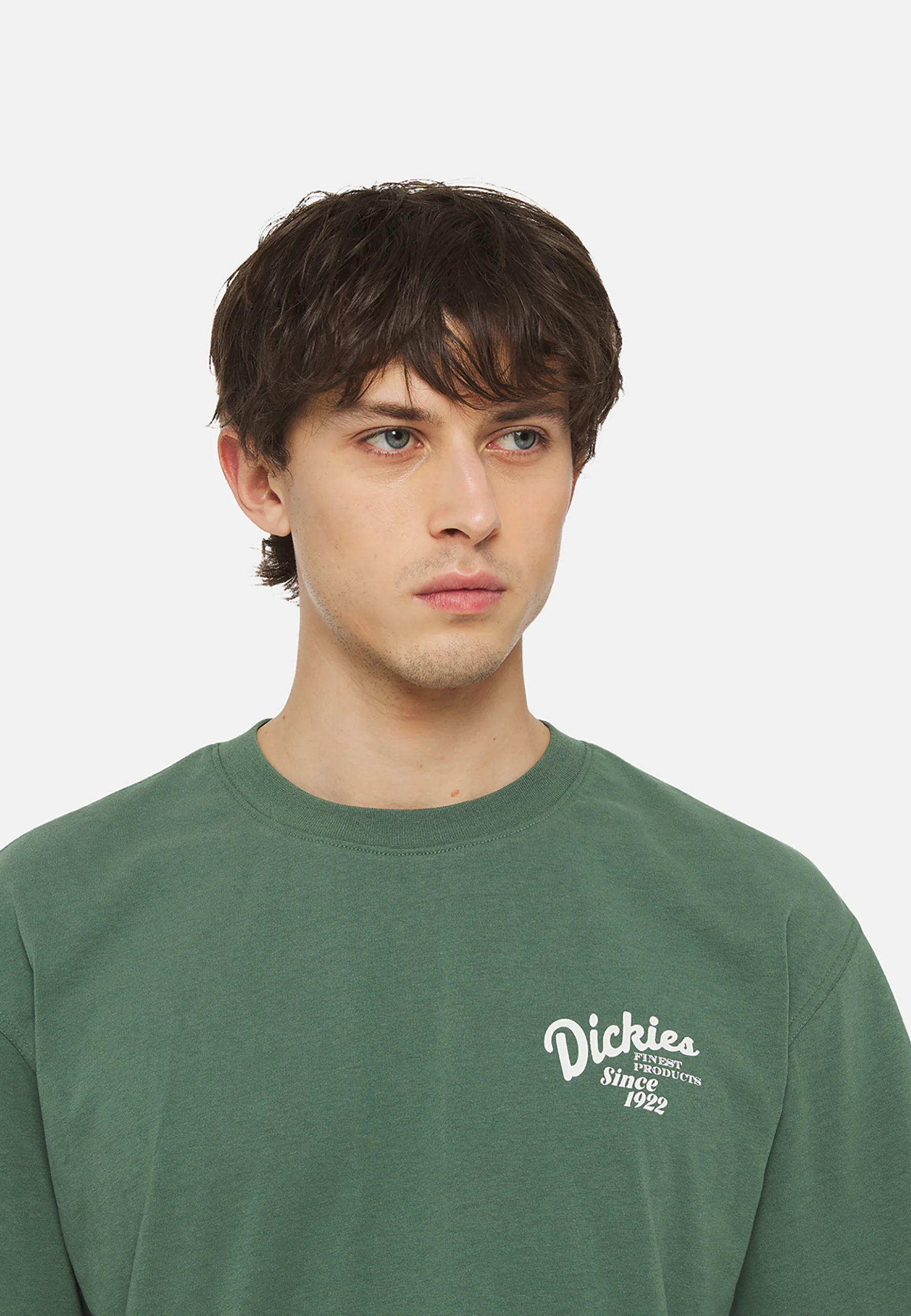 Dickies RAVEN TEE - Camiseta con estampado