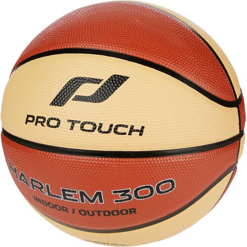 BASKETBALL HARLEM 300