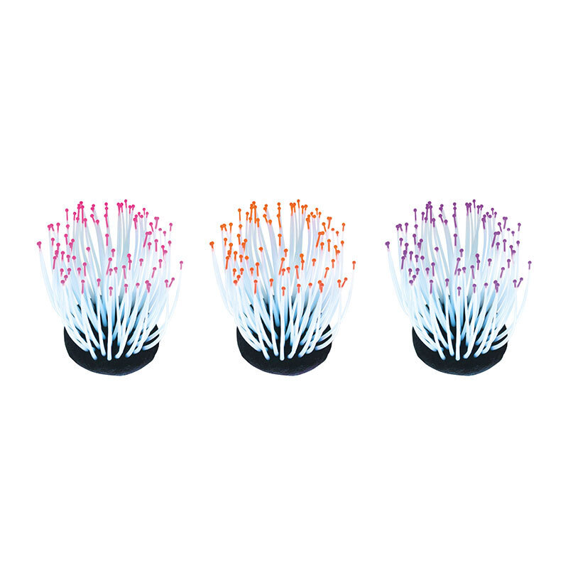 Amtra Dekoration Amtra Fluo Reef Anemone