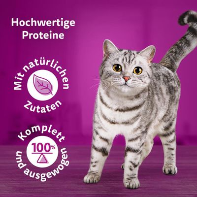 Jumbopack Whiskas Pure Delight Portionsbeutel 96 x 85 g