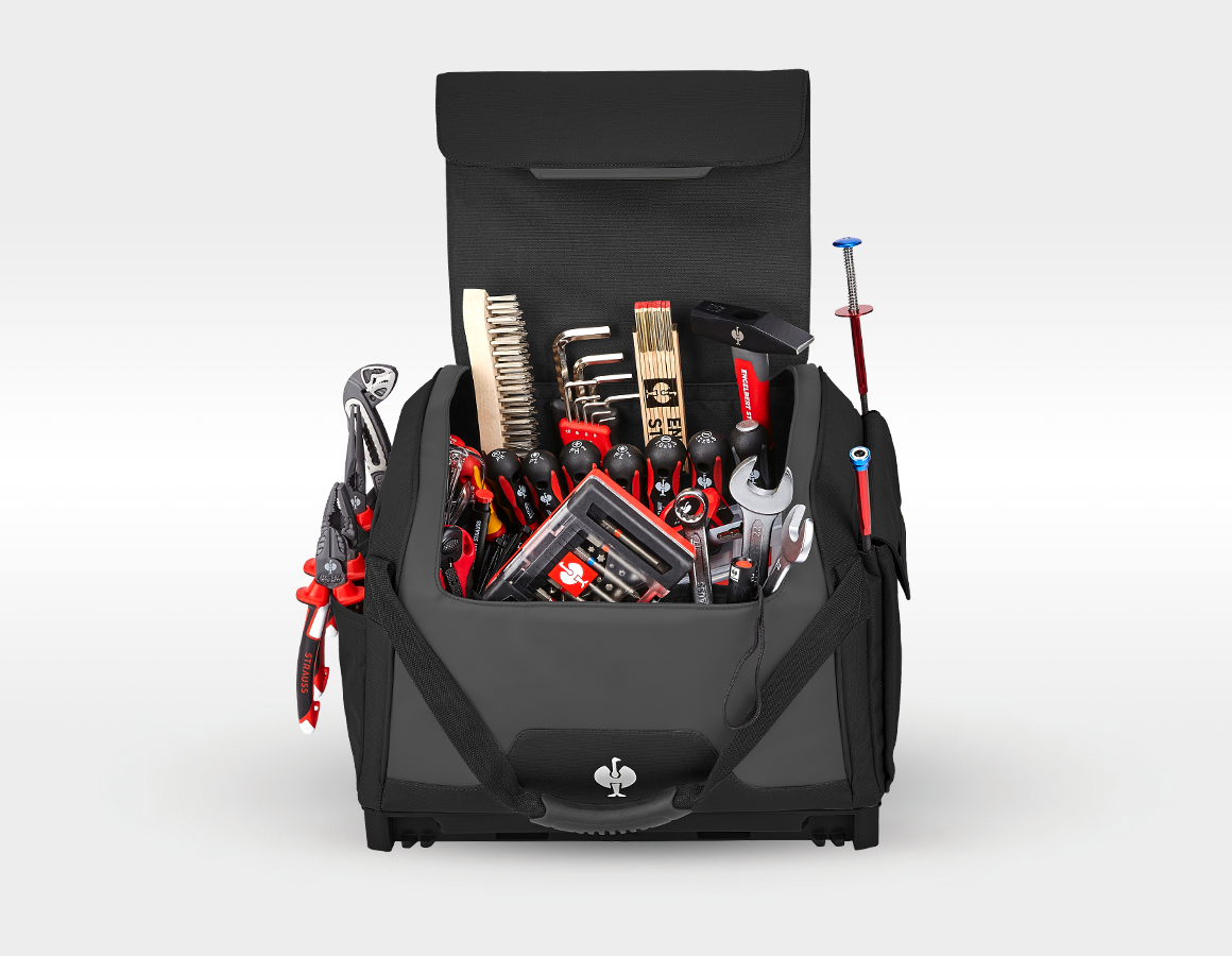 Werkzeug-Set Allround Profi inkl. STRAUSSbox