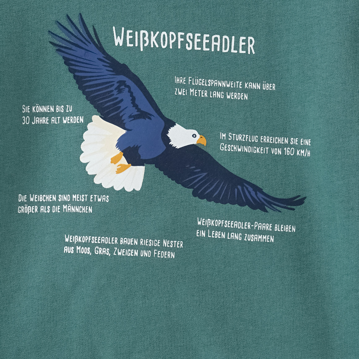 Kinder Sweatshirt mit Weißkopfseeadler-Motiv