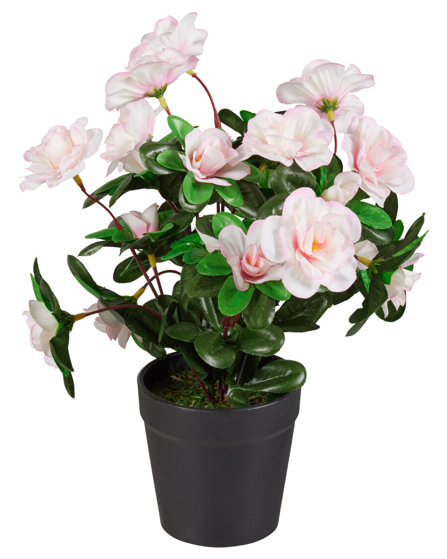 Kunstblume Azaleen