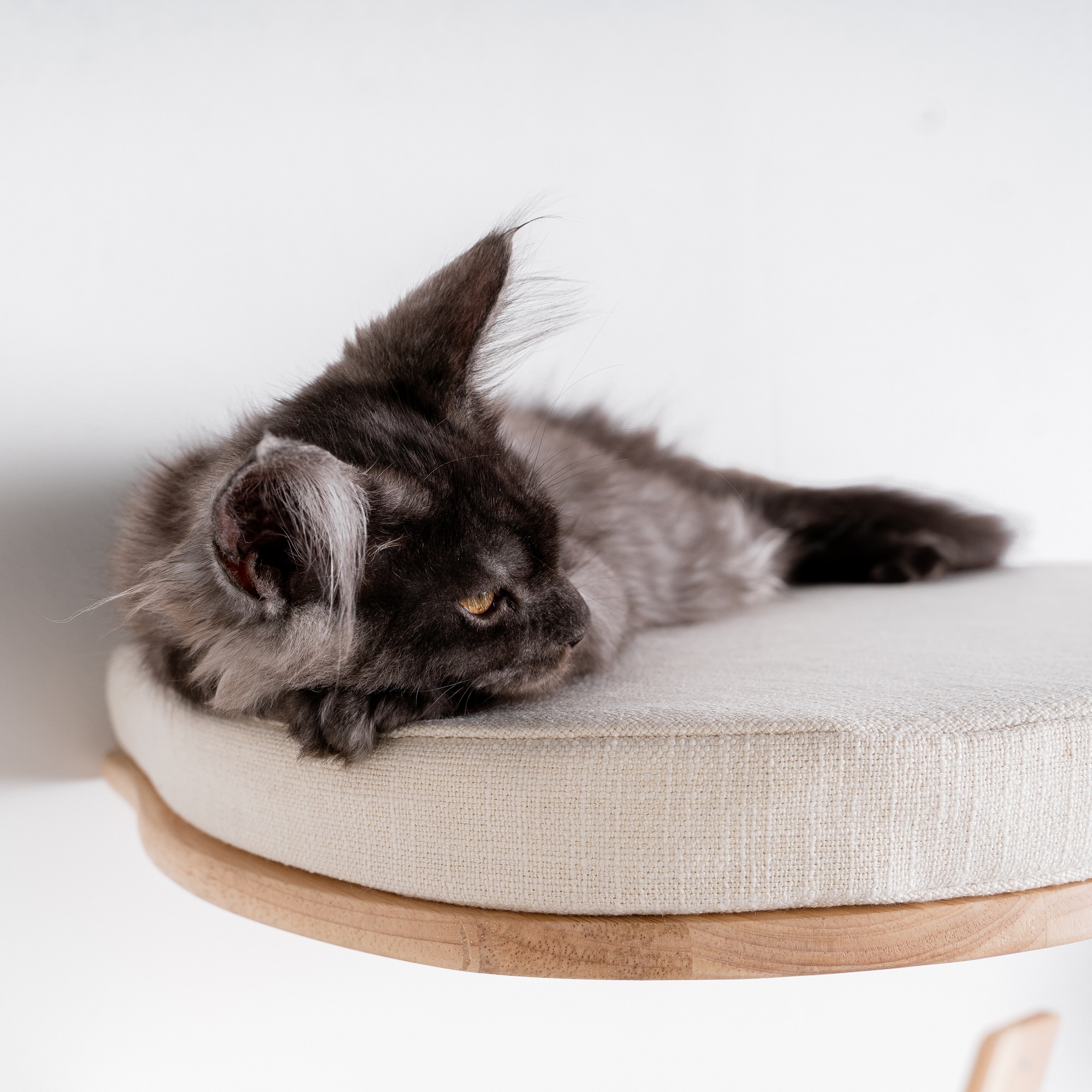 RHR Quality Katzenbetten & Katzensofas RHR Quality RHRQuality Wandmöbel Katzenbett de Luxe creme/ beige