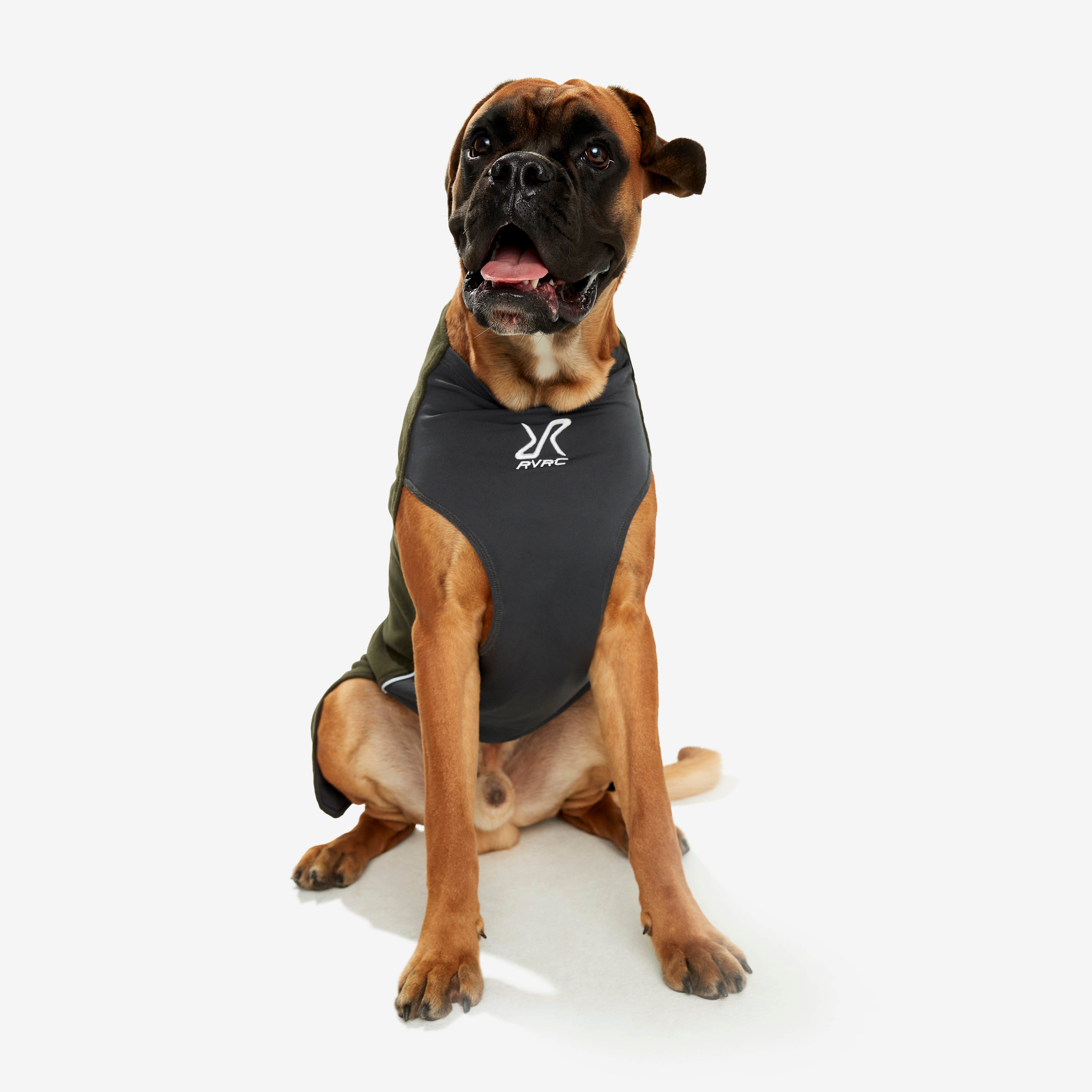 Trekker Fleece Chien Forest Night