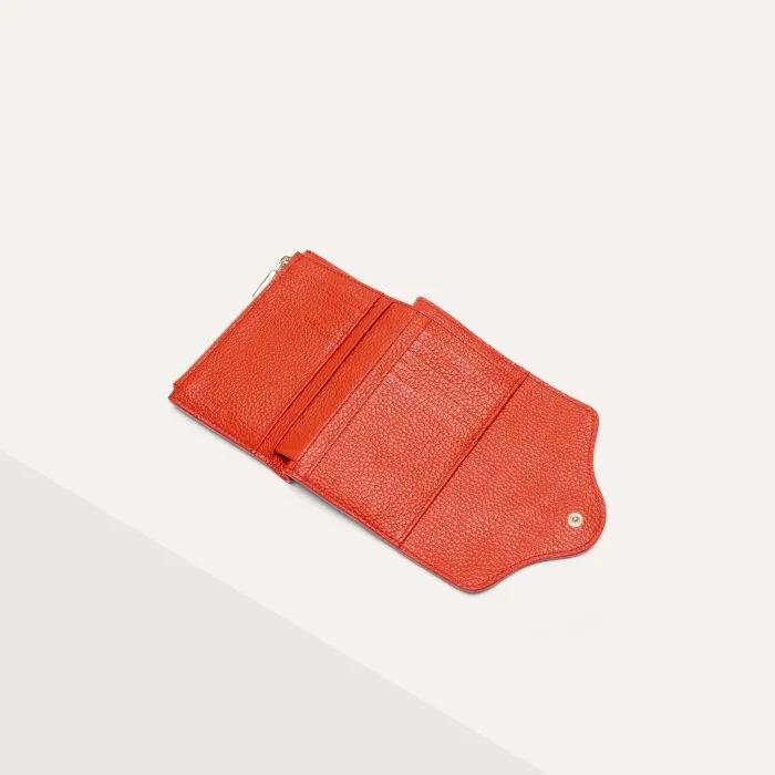 Coccinelle C-me