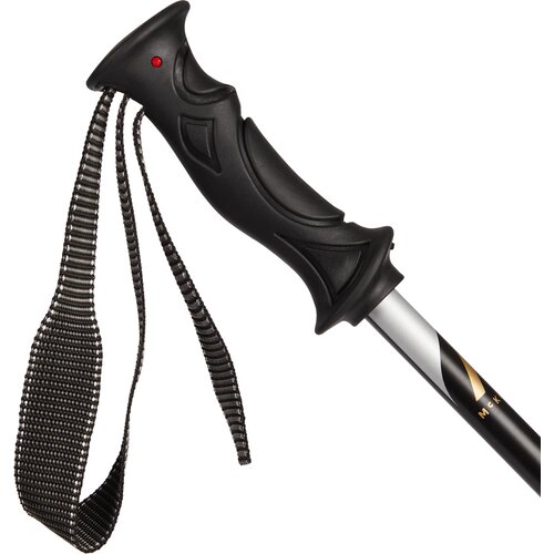 DAMEN ALPIN-SKISTOCK SAFINE PURE