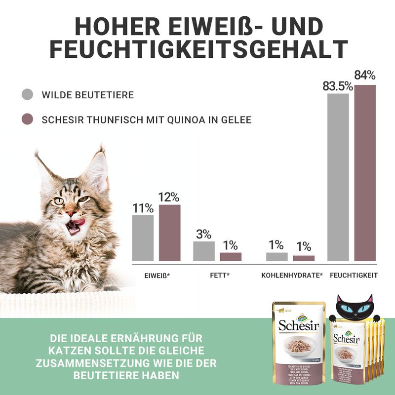 Schesir Jelly Pouch 6 x 85 g zu TOP-Preisen