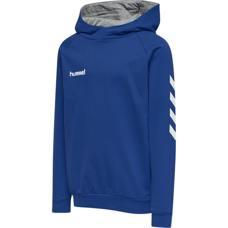 hummel HMLGO KIDS COTTON HOODIE Hoodie Kinder