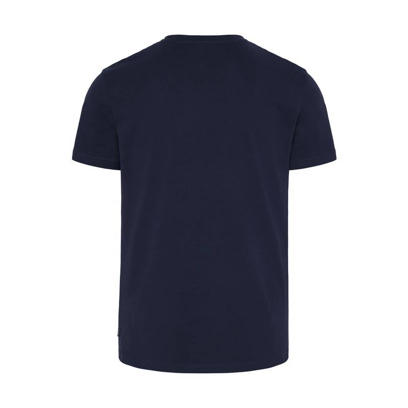 Chiemsee T-Shirt T-Shirt Herren