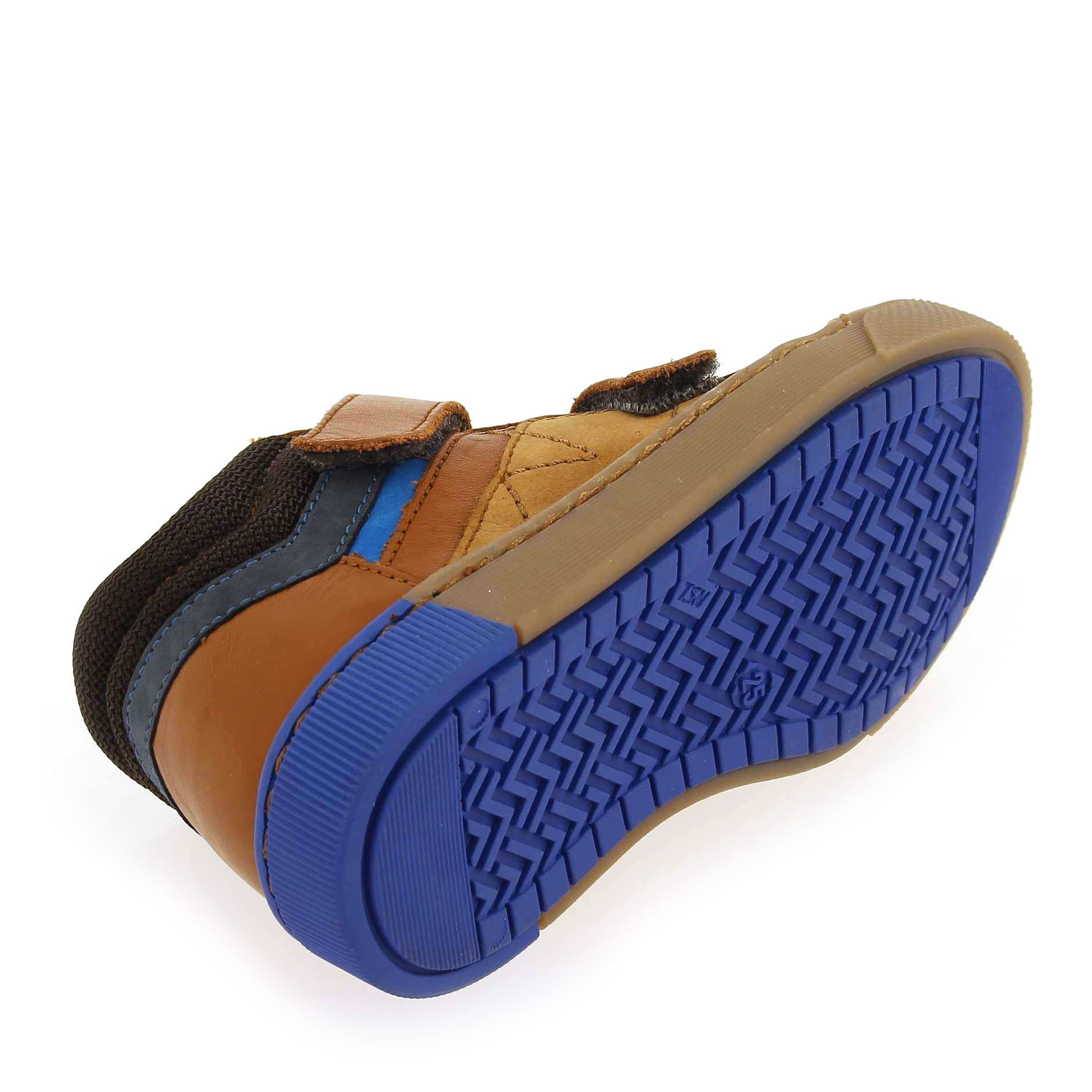 GBB  TANGUY - Camel Bleu