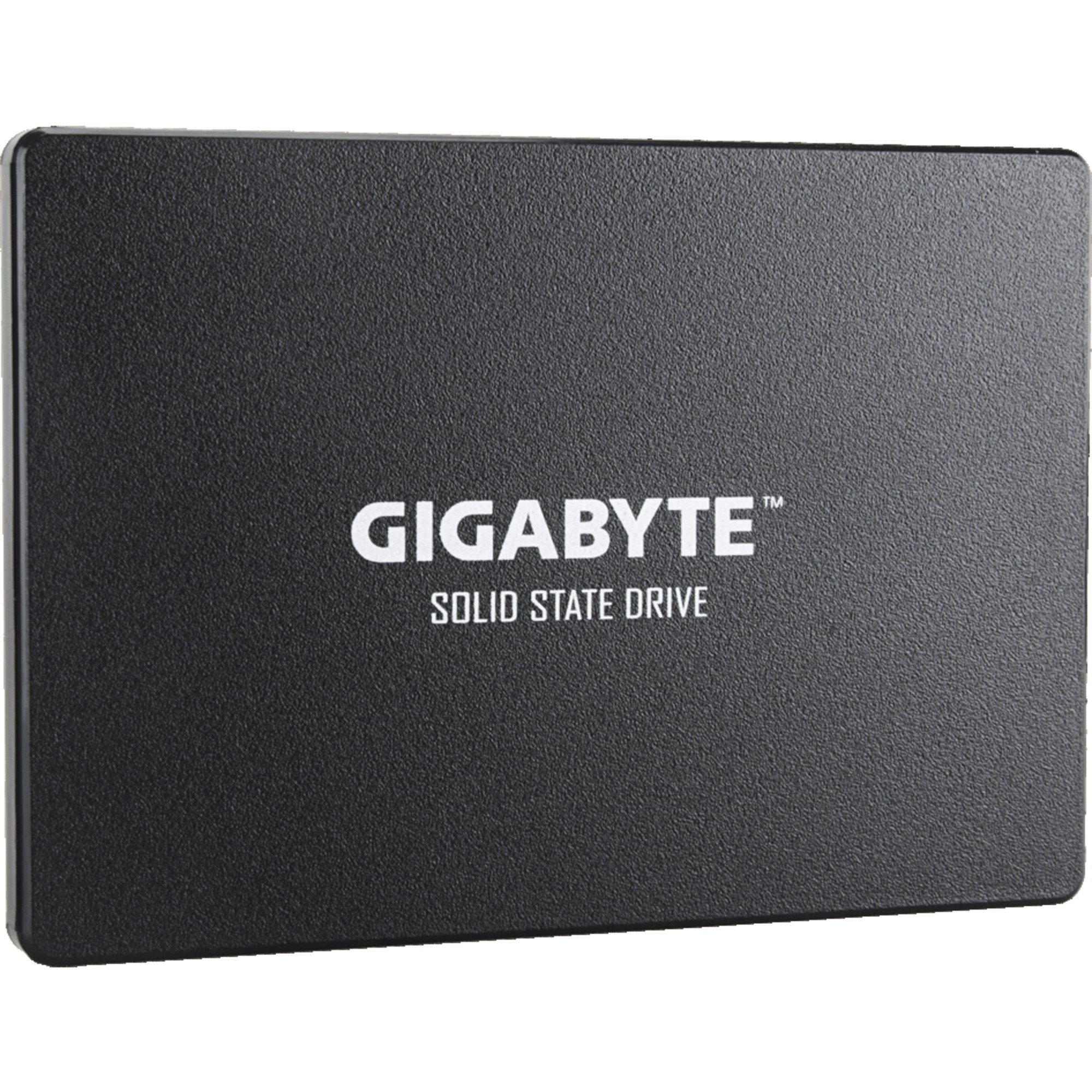 Gigabyte GIGABYTE SSD 256 GB, (SATA 6 Gb/s, 2,5) SSD-Festplatte
