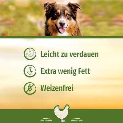 SmartBones Hundeknochen Huhn für große Hunde