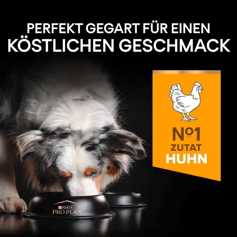 PURINA PRO PLAN All Size Adult Performance