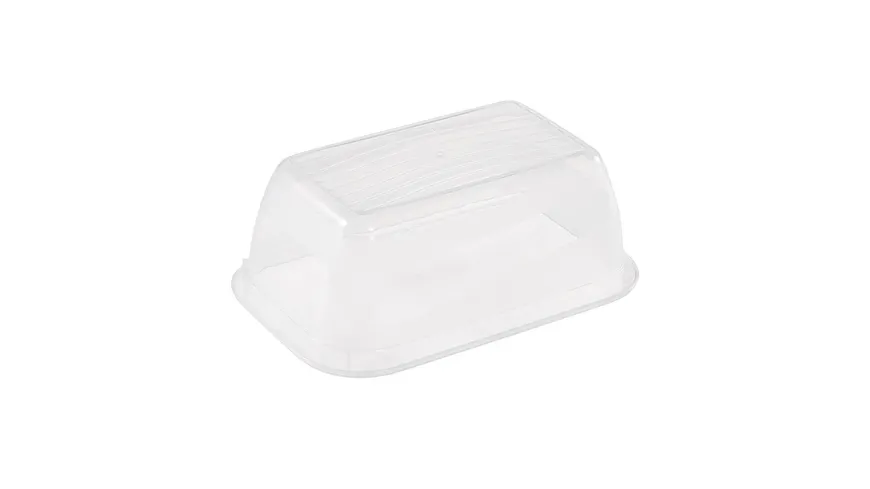 keeeper Frischhaltedosen Set Fredo Fresh 5-tlg. 0,5l fresh-blue transparent
