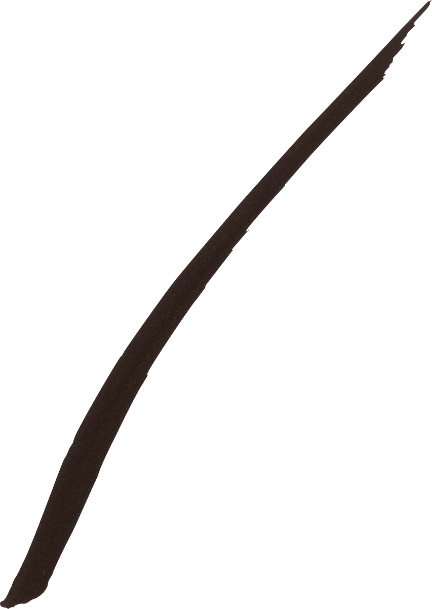 Eyeliner Hyper Precise Forest Brown, 1 g