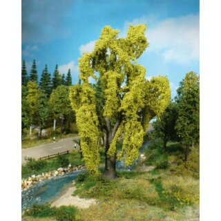 Trauerweide 20 cm (1 Stk.)