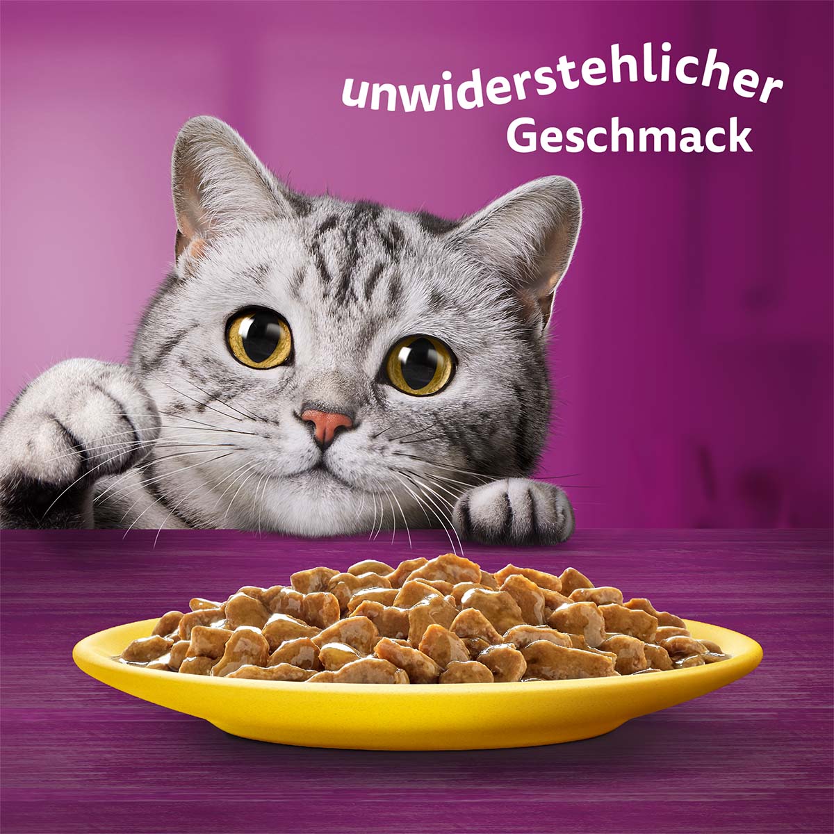 Whiskas Multipack 1+ Geflügel Auswahl in Sauce 12x85g