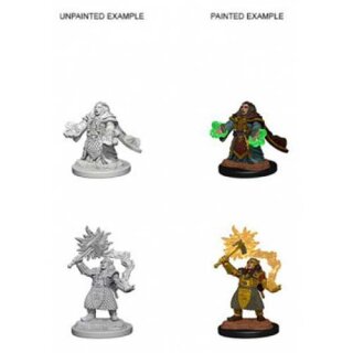 Dwarf Female Cleric: Nolzurs Marvelous Unpainted Minis
